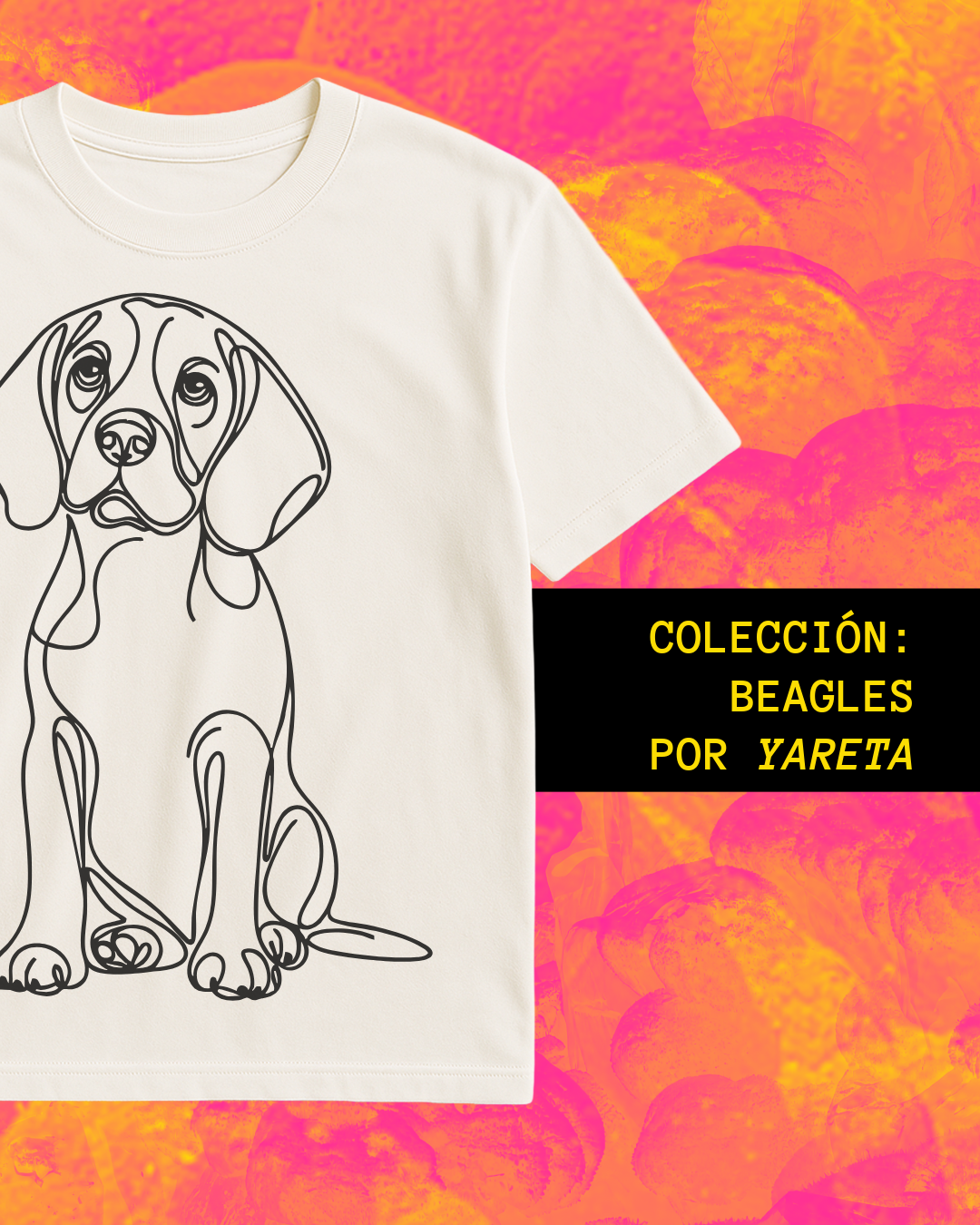 Beagles
