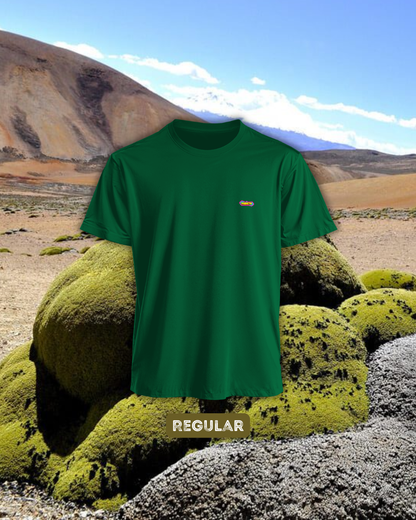 Yareta